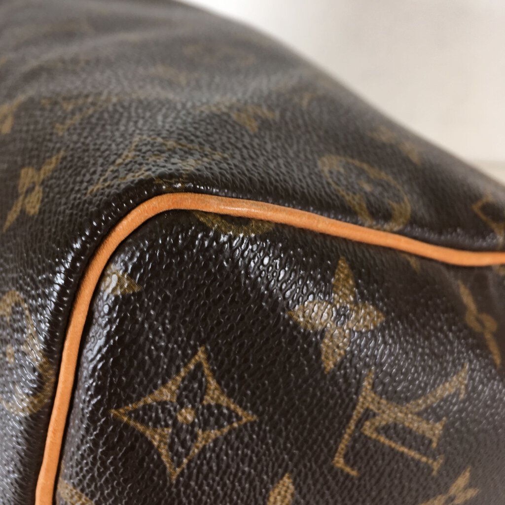 Louis Vuitton Speedy 25