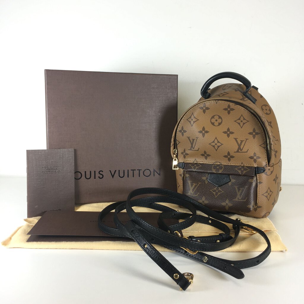 Louis Vuitton Palm Springs Mini