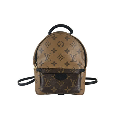 Louis Vuitton Palm Springs Mini