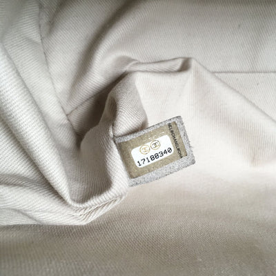 Chanel Seasonal Flap