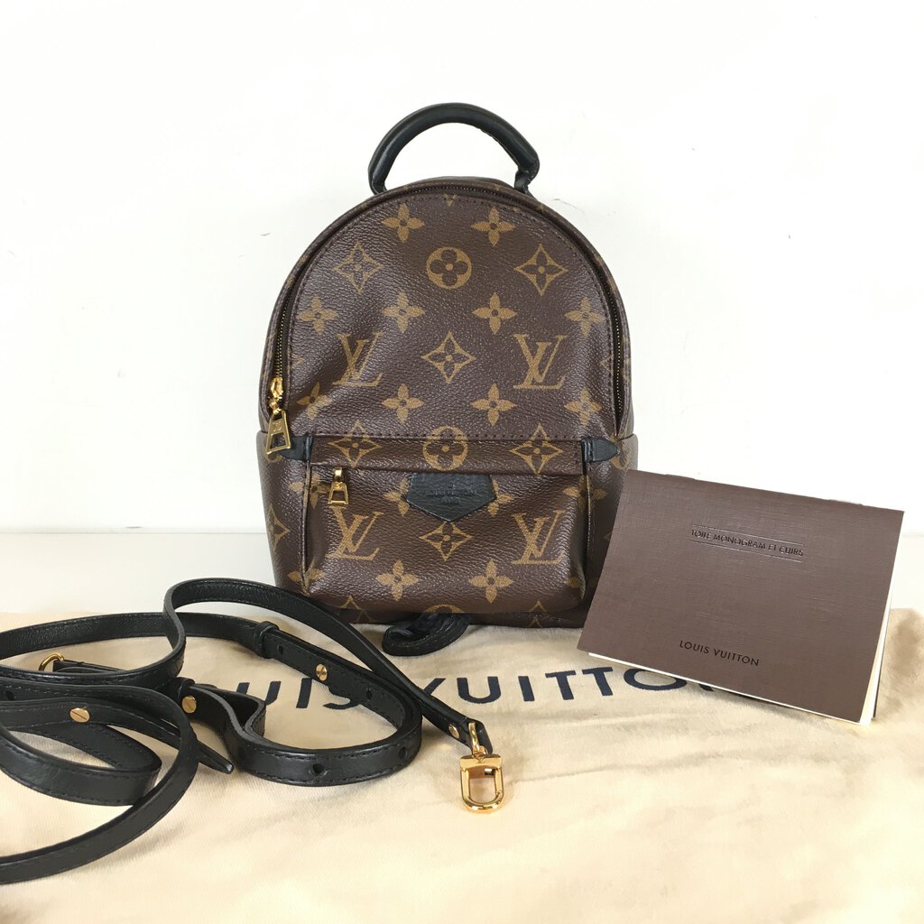 Louis Vuitton Palm Springs Mini Backpack