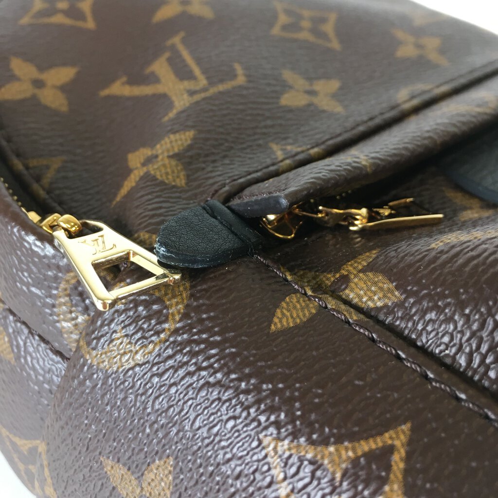 Louis Vuitton Palm Springs Mini Backpack