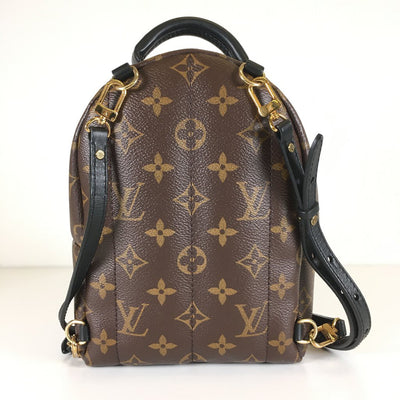 Louis Vuitton Palm Springs Mini Backpack