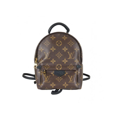 Louis Vuitton Palm Springs Mini Backpack