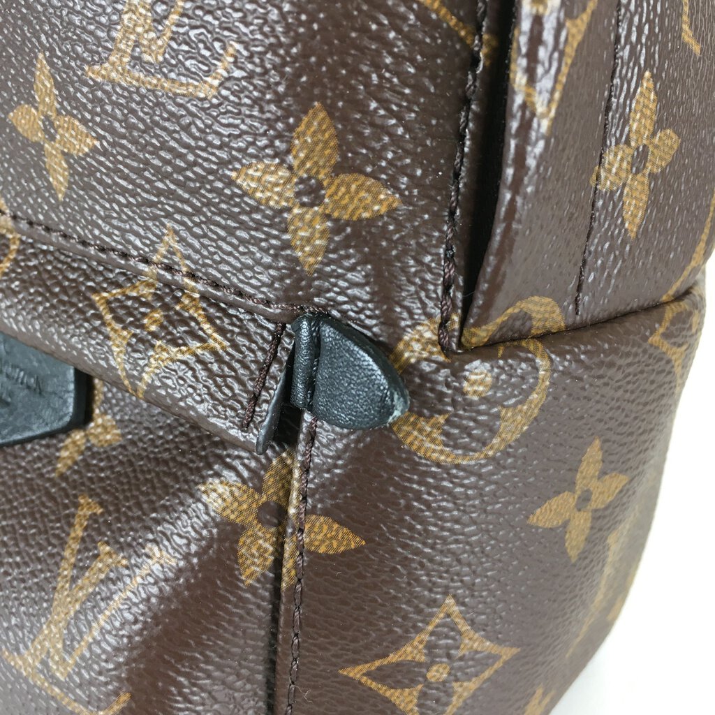 Louis Vuitton Palm Springs Mini Backpack