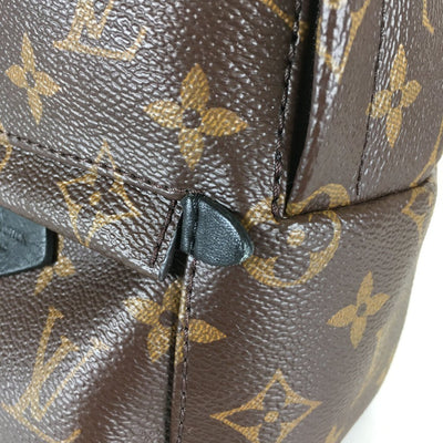 Louis Vuitton Palm Springs Mini Backpack