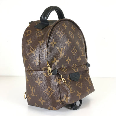 Louis Vuitton Palm Springs Mini Backpack