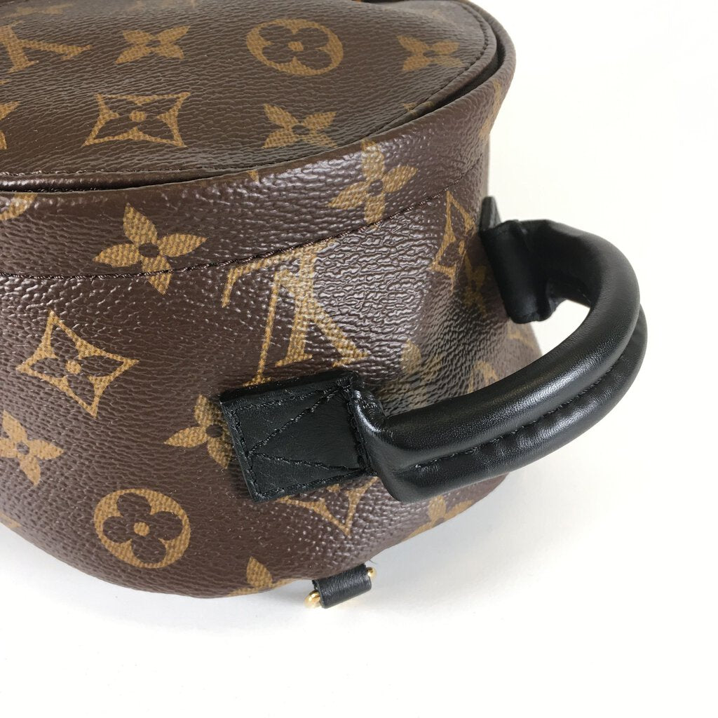 Louis Vuitton Palm Springs Mini Backpack