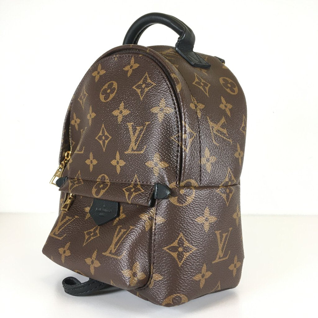 Louis Vuitton Palm Springs Mini Backpack