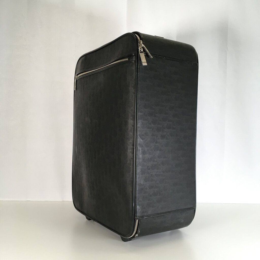 Dior Homme Oblique Cabin Luggage