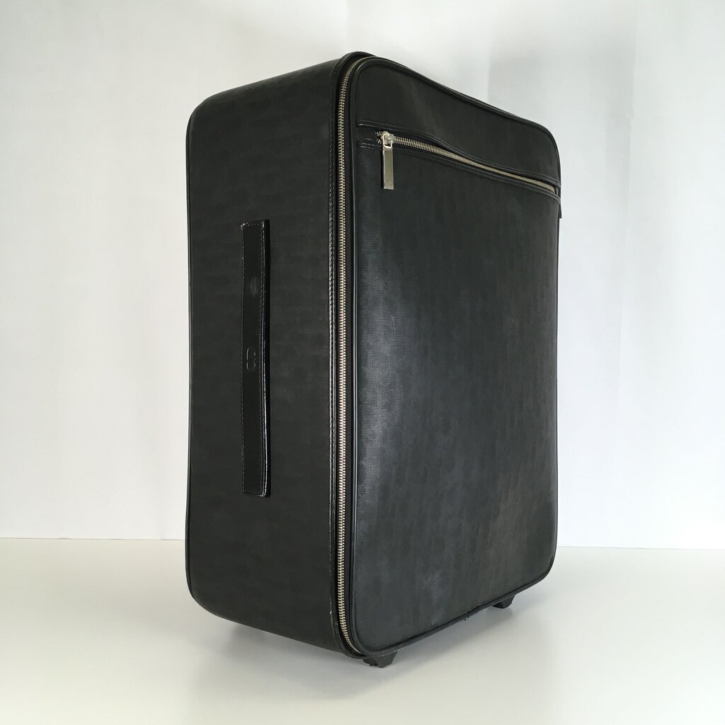 Dior Homme Oblique Cabin Luggage