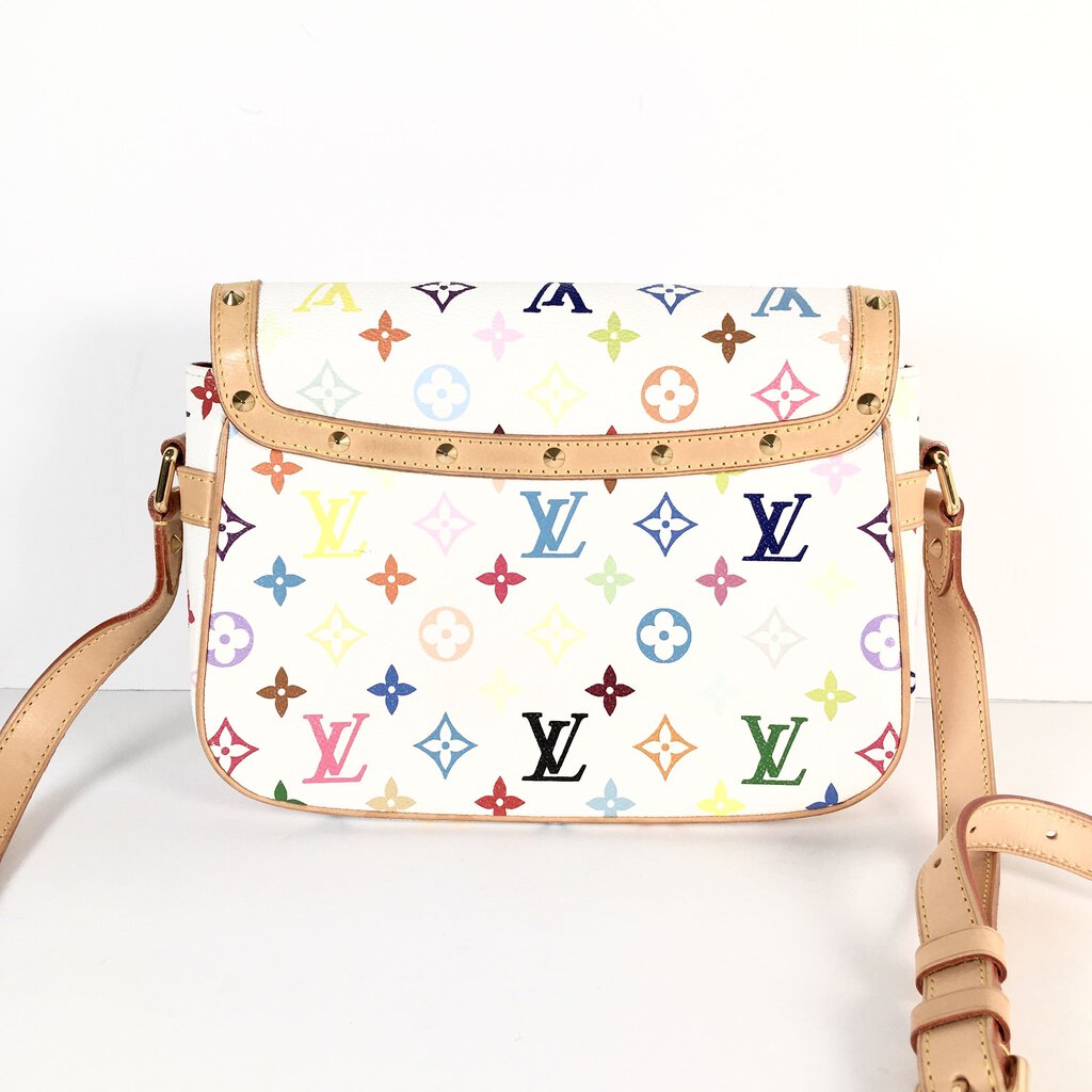 Louis Vuitton Multicolor Sologne