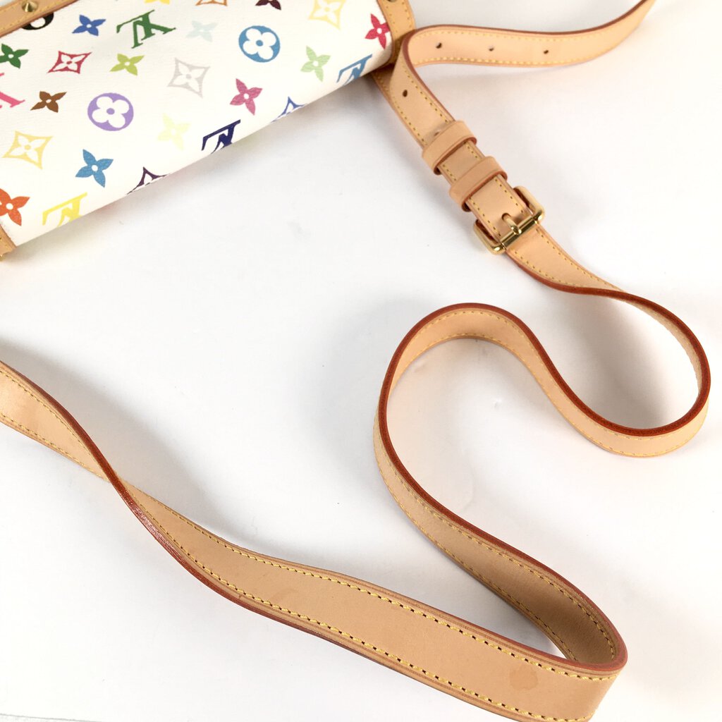 Louis Vuitton Multicolor Sologne