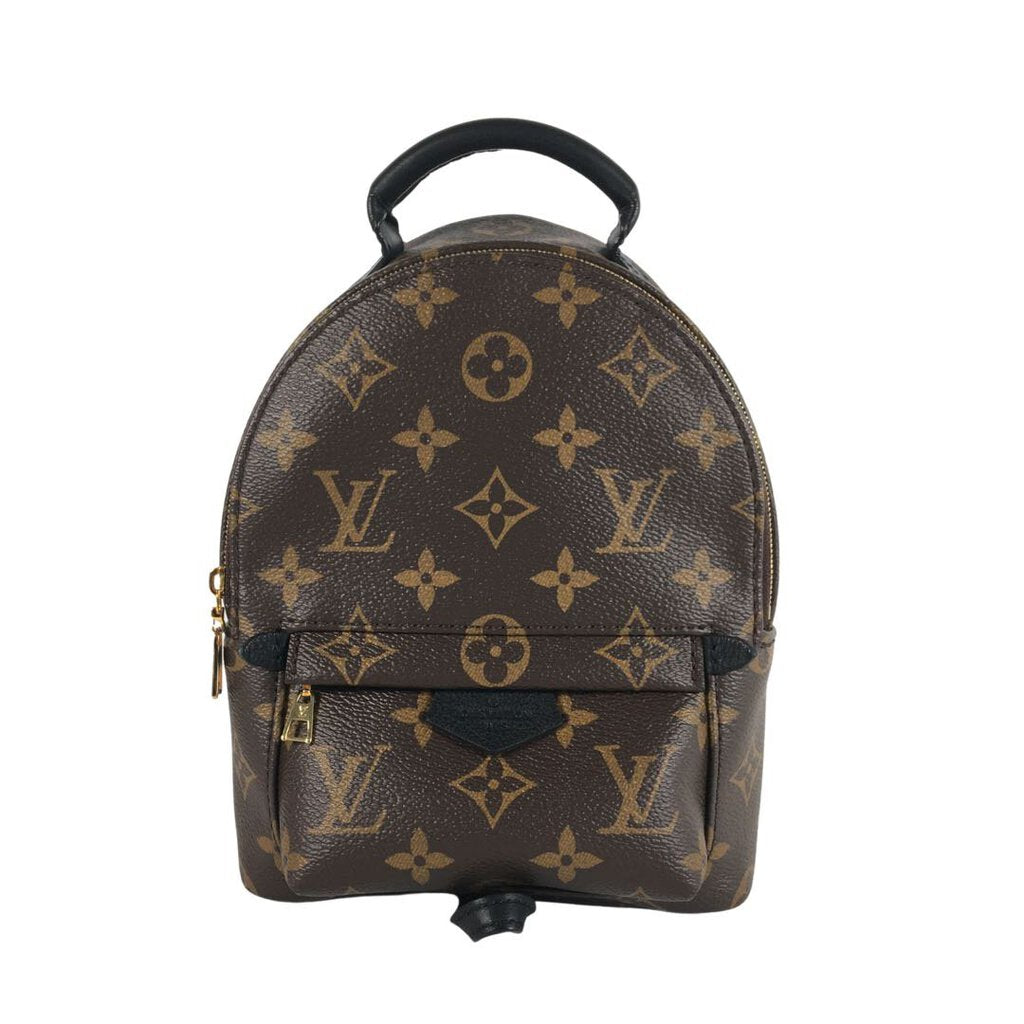 Louis Vuitton Palm Springs Mini Backpack