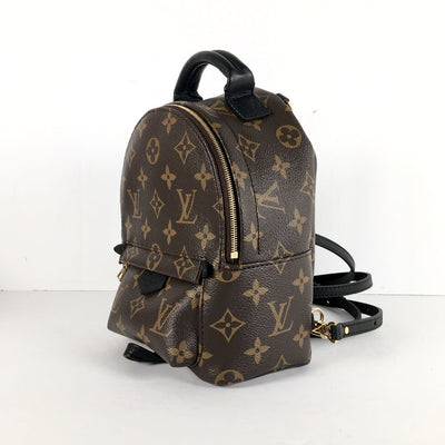 Louis Vuitton Palm Springs Mini Backpack