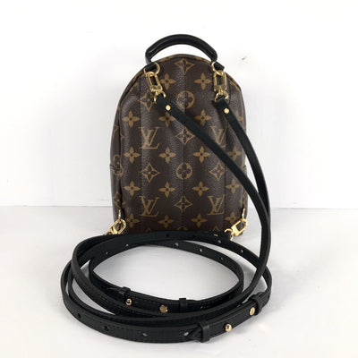 Louis Vuitton Palm Springs Mini Backpack