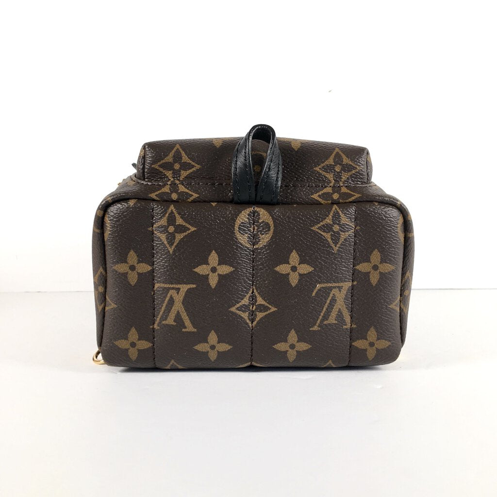 Louis Vuitton Palm Springs Mini Backpack