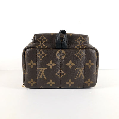 Louis Vuitton Palm Springs Mini Backpack