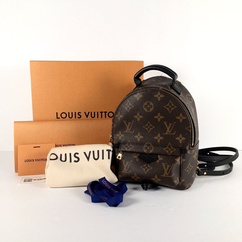 Louis Vuitton Palm Springs Mini Backpack