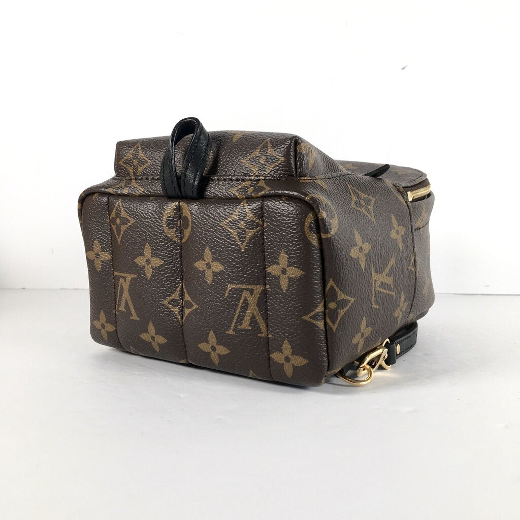 Louis Vuitton Palm Springs Mini Backpack