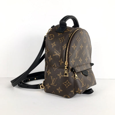 Louis Vuitton Palm Springs Mini Backpack