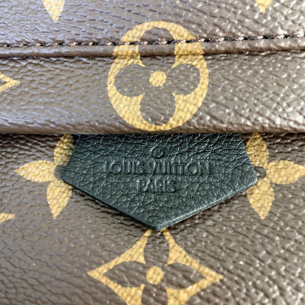 Louis Vuitton Palm Springs Mini Backpack