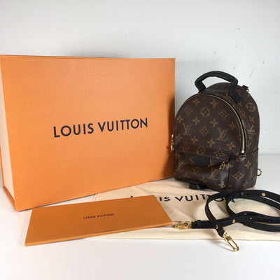 Louis Vuitton Palm Springs Mini