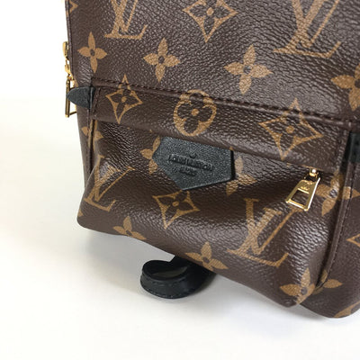 Louis Vuitton Palm Springs Mini