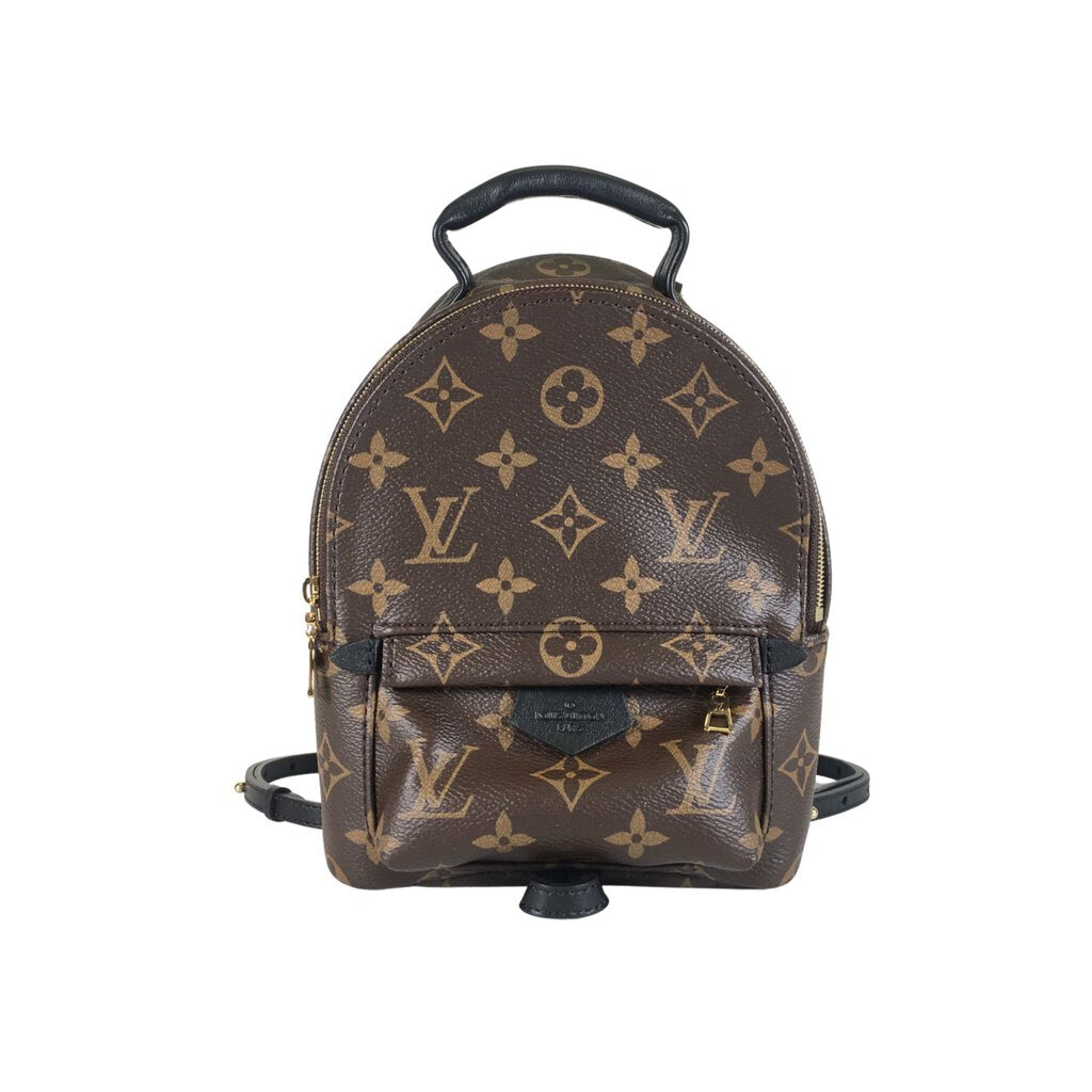 Louis Vuitton Palm Springs Mini