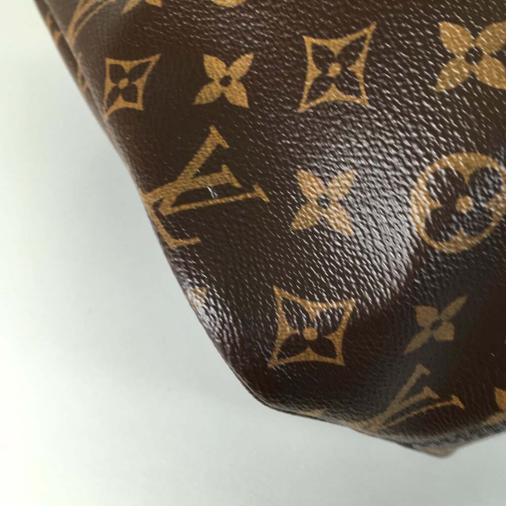 Louis Vuitton Neverfull