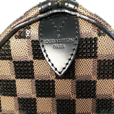 Louis Vuitton Speedy 30 Limited Edition