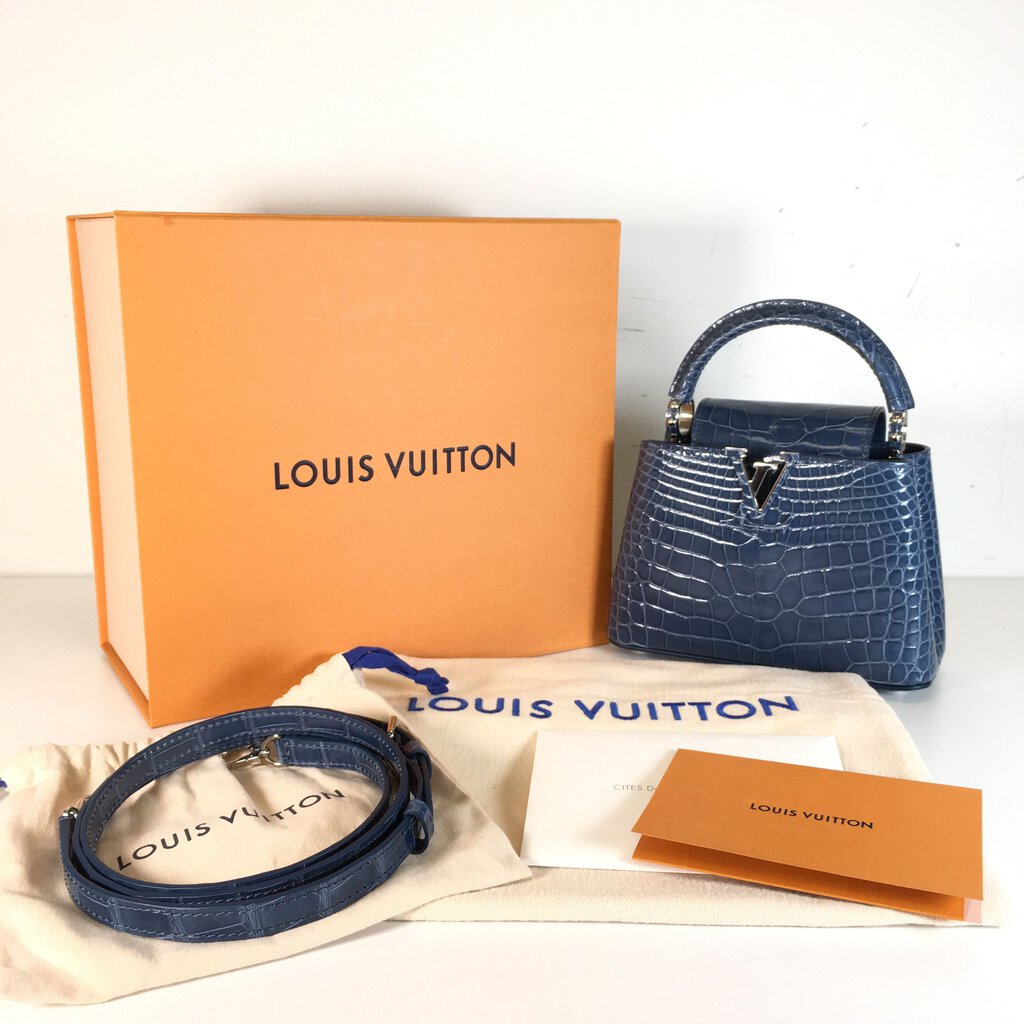 Louis Vuitton Capucines Mini