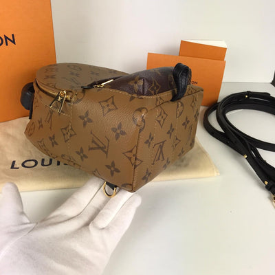 Louis Vuitton Palmsprings Backpack