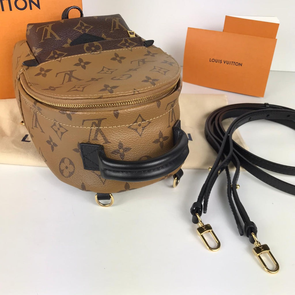 Louis Vuitton Palmsprings Backpack