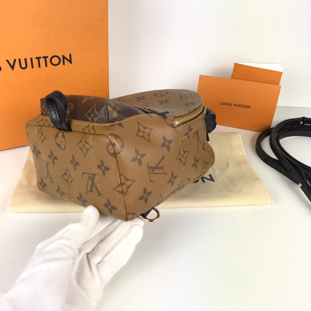 Louis Vuitton Palmsprings Backpack