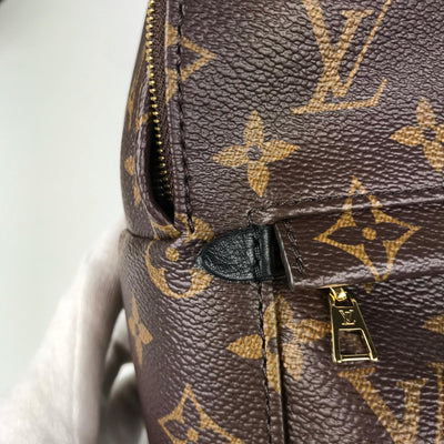 Louis Vuitton Palmsprings Backpack