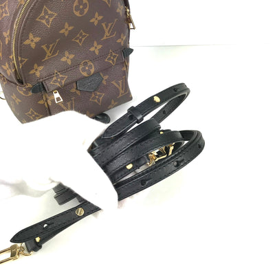 Louis Vuitton Palmsprings Backpack