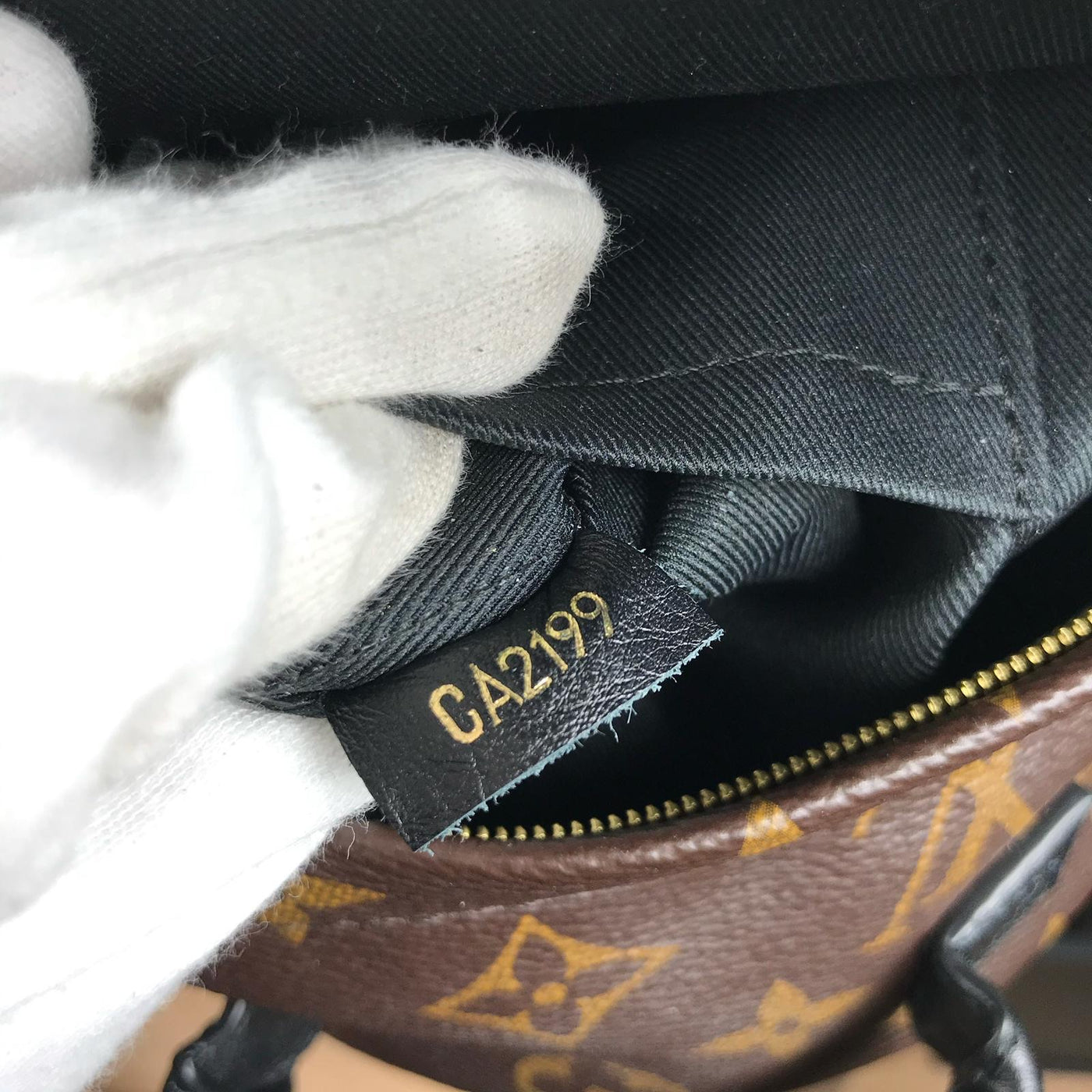 Louis Vuitton Palmsprings Backpack