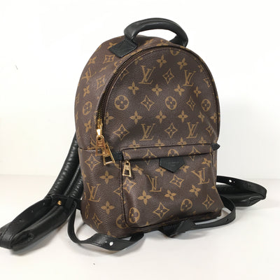 Louis Vuitton Palmsprings Backpack