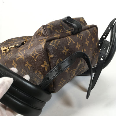 Louis Vuitton Palmsprings Backpack