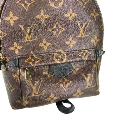 Louis Vuitton Palmsprings Backpack